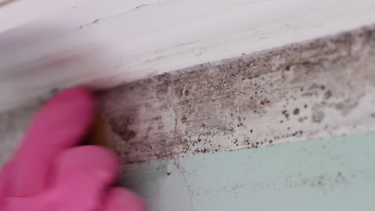 Best Basement Mold Removal  in Tuntutuli, AK